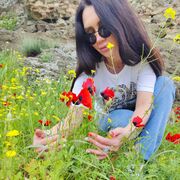 ���������� ������, ���� ������� �����, 52 ����, ������������ ��� c�������� ���������