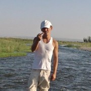  ,   7376181teleg, 43 ,     , c 
