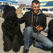 ���������� �������, ���� ������� �������, 50 ���, ������������ ��� ������, ����� � ���������, c�������� ���������