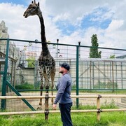 ���������� ����������, ���� ������� �������, 35 ���, ������������ ��� ������, ����� � ���������, c�������� ���������, ���������