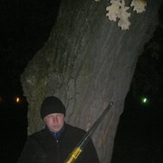  ,  , 43