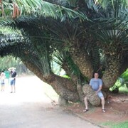  ,   , 52 ,   ,   