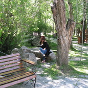  ,   Karolina, 51 ,   ,   , c 