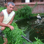  ,   , 57 ,   