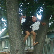 ���������� ������ ��������, ���� ������� TIMUR, 35 ���, ������������ ��� ������, ���������