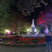 ���������� �����������, ���� ������� �����, 40 ���, ������������ ��� ������, ����� � ���������