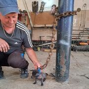 ���������� ������, ���� ������� ������, 42 ����, ������������ ��� ������, ����� � ���������