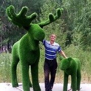  ,   , 49 ,   ,   