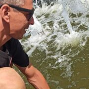 ���������� ������, ���� ������� �����, 37 ���, ������������ ��� ������, ����� � ���������