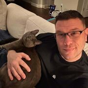 ���������� ������, ���� ������� ����, 43 ����, ������������ ��� ������, ����� � ���������, c�������� ���������