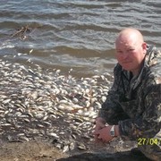  ,  ALEKS, 43