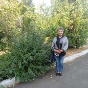 ���������� �������, ���� ������� �������, 56 ���, ������������ ��� ����� � ���������, c�������� ���������, ���������