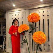  ,   , 58 ,   c 
