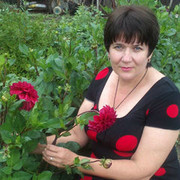 ���������� ��������, ���� ������� ������, 60 ���, ������������ 