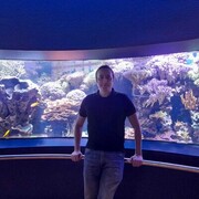  Essen,   , 31 ,   ,   