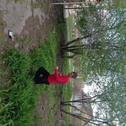  ,   , 54 ,   ,   