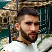  ,   , 31 ,  