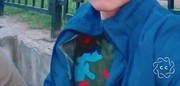  ,   , 32 ,   ,   , c , 