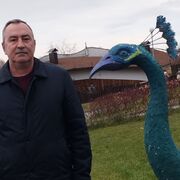  ,   , 55 ,   ,   , c 