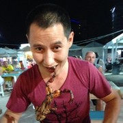 ���������� ������, ���� ������� ���, 43 ����, ������������ ��� ������