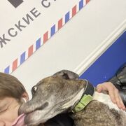 ���������� ������, ���� ������� ���� ��� ��, 27 ���, ������������ ��� ������, ����� � ���������