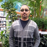  ,   Mongol, 50 ,   ,   , c 