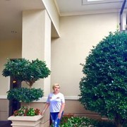 ���������� ���������, ���� ������� ���������, 64 ����, ������������ 