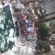  ,   Vigen, 44 ,     , c 