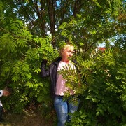 ���������� ������, ���� ������� �������, 51 ���, ������������ ��� ����� � ���������, c�������� ���������