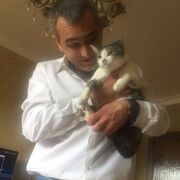 ���������� �����������, ���� ������� ����, 40 ���, ������������ ��� ������, c�������� ���������, ���������