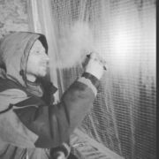 ���������� ������, ���� ������� ������, 41 ���, ������������ ��� ������, ����� � ���������, c�������� ���������