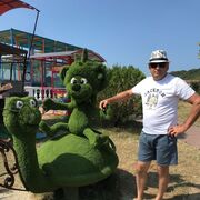 ���������� �������, ���� ������� ������, 63 ����, ������������ ��� c�������� ���������, ���������