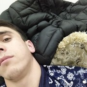 ���������� �������, ���� ������� ����, 27 ���, ������������ 