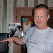 ���������� ������, ���� ������� ������, 50 ���, ������������ ��� ������, ����� � ���������, c�������� ���������