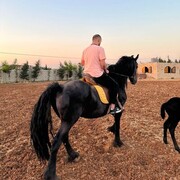 ���������� �������, ���� ����� �������, 25 ���, ������������ ��� ������, ����� � ���������, c�������� ���������, ���������