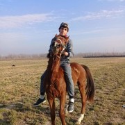 ���������� ������, ���� ������� SADAM, 31 ���, ������������ ��� ������, ����� � ���������, c�������� ���������