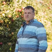 ���������� ������, ���� ������� ������, 91 ���, ������������ ��� ������, ����� � ���������, ���������