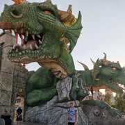 ���������� ��������, ���� ������� ������, 48 ���, ������������ ��� c�������� ���������, ���������