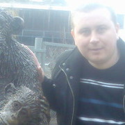  ,   , 50 ,   ,   , c , 