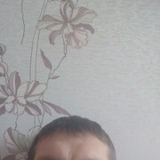   ,   , 43 ,   