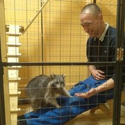 ���������� ������, ���� ������� �������, 38 ���, ������������ ��� ������, ����� � ���������, c�������� ���������