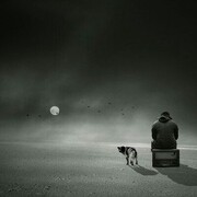 ���������� ���������, ���� ������� ��������, 43 ����, ������������ ��� ������, ����� � ���������