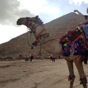 ���������� ���������, ���� ������� �������, 37 ���, ������������ ��� ������, ����� � ���������