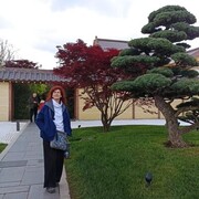  ,   , 62 ,     , c 