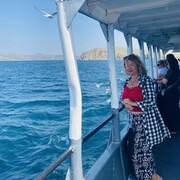 ���������� ������, ���� ������� �������, 56 ���, ������������ ��� ����� � ���������