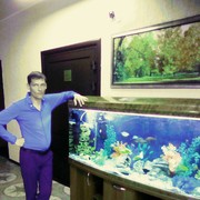 ���������� ������, ���� ������� ���������, 40 ���, ������������ ��� ������