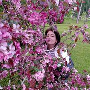 ���������� �����-���������, ���� ������� �������, 60 ���, ������������ ��� ������, ����� � ���������, c�������� ���������, ���������