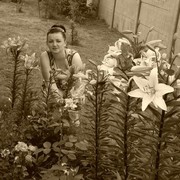 ���������� �����, ���� ������� ����, 39 ���, ������������ ��� ������, ����� � ���������, c�������� ���������