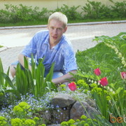  ,   VII, 40 ,  