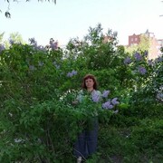  ,   , 52 ,  